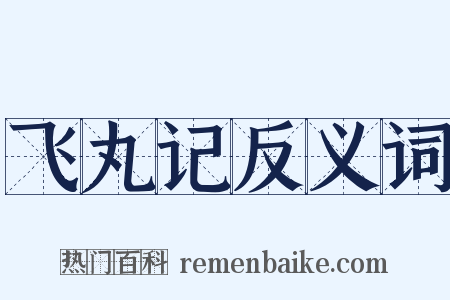 飞丸记反义词是什么意思的图片